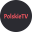 polskie.tv-logo